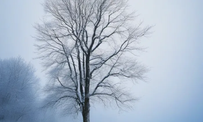 Alegorická socha Průmyslu – winter