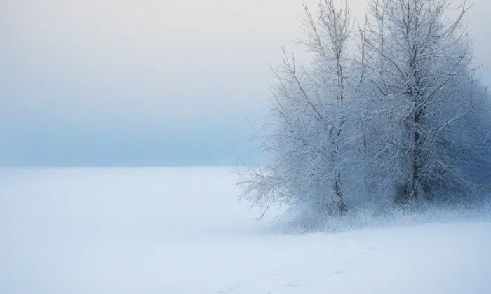 Americký park – winter