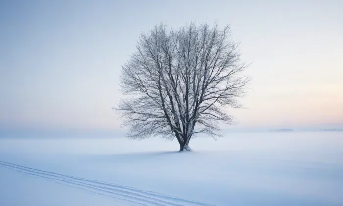 Apolinářská – winter