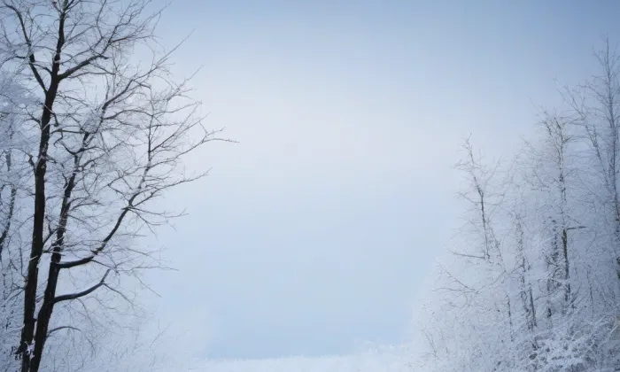 Apple Museum – winter