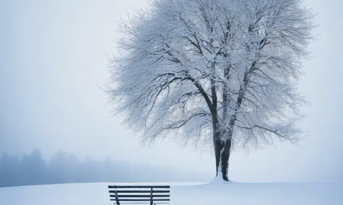 Arboretum – winter