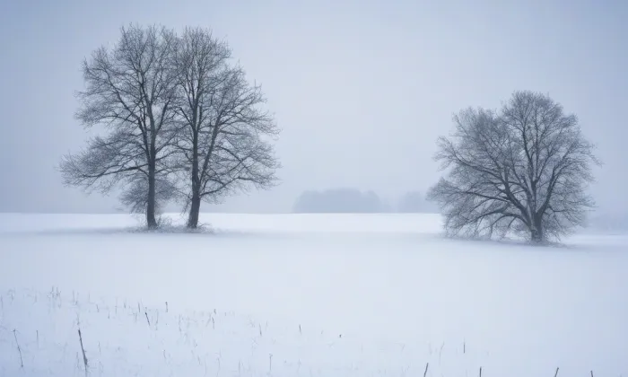 Arboretum Bukovina – winter