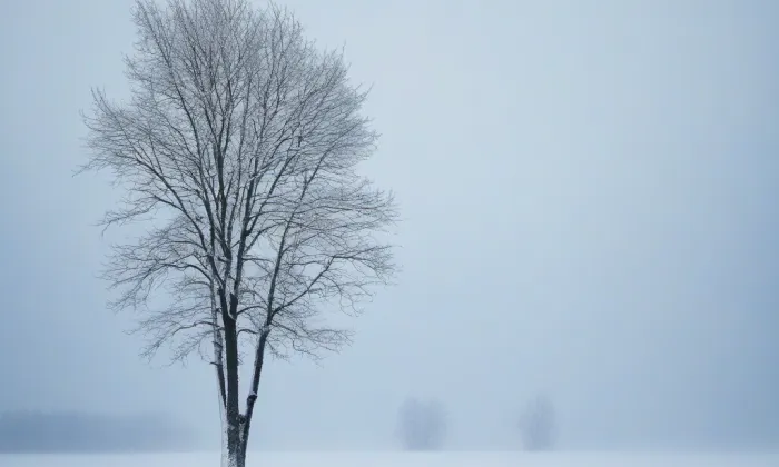 Archiv České koruny – winter