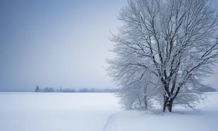 Archiv Moravské galerie v Brně – winter
