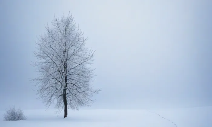 Archiv Národní galerie – winter