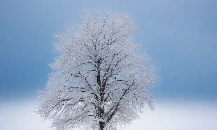 Areál Lannovy loděnice – winter