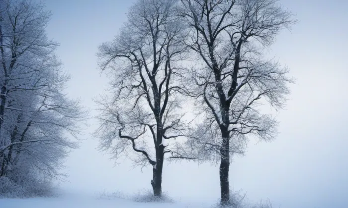 Areál Valašského muzea v přírodě – winter