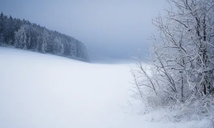 Armanka – winter