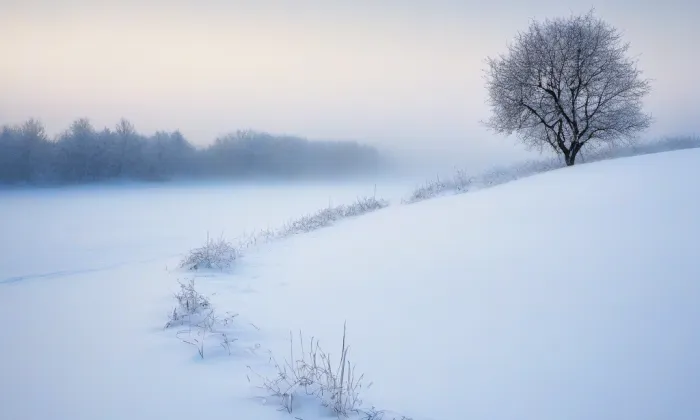 Ateliéry AVU – winter