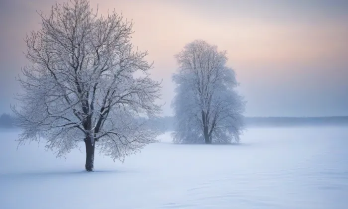 Augustiniánský dům – winter