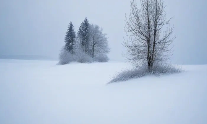 Augustiniánský klášter v Roudnici nad Labem – winter