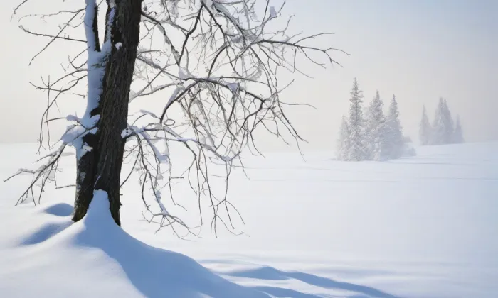 Augustiniánský klášter ve Šternberku – winter