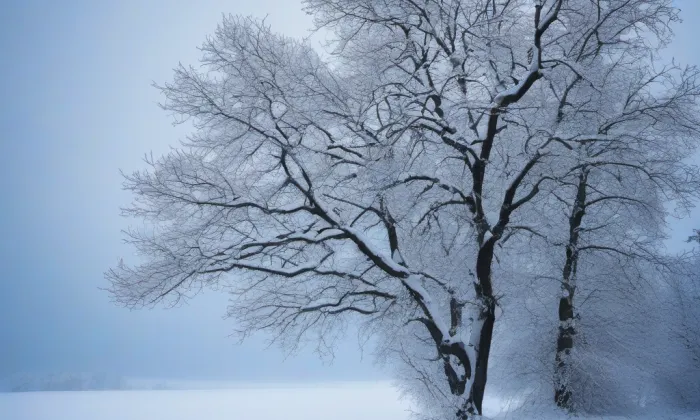 Bétel Poděbrady – winter