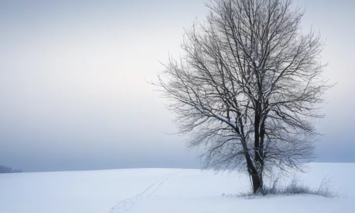 bývalá kaple svatého Urbana – winter