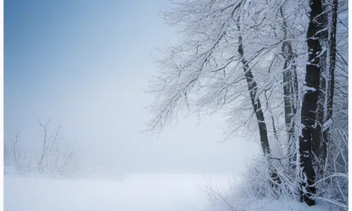 Bývalý kostel svaté Alžběty v Jindřichově Hradci – winter