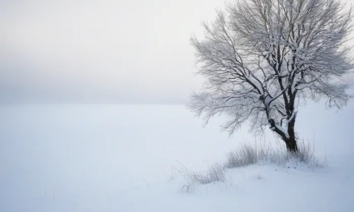 Bývalá lékárna – winter