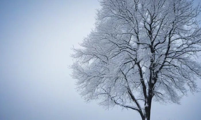 Bývalá tvrz – sýpka – winter