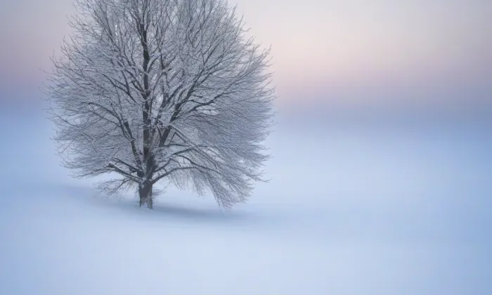 Babylon – winter