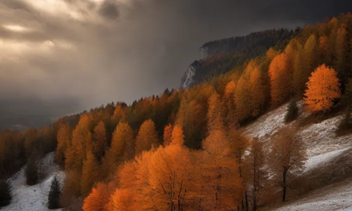 Bartovice – autumn