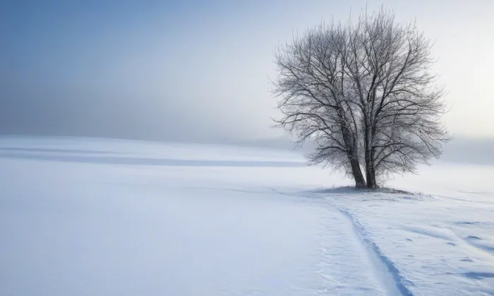 Battistova cihelna – winter