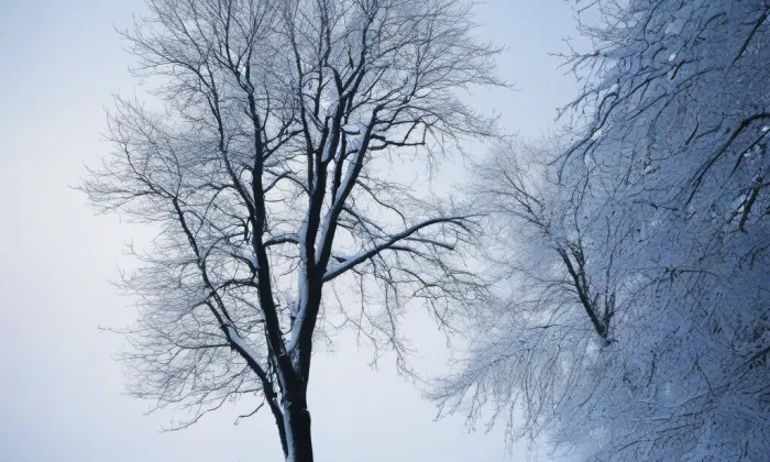 Bazilika Nanebevzetí Panny Marie a svatého Cyrila a Metoděje – winter