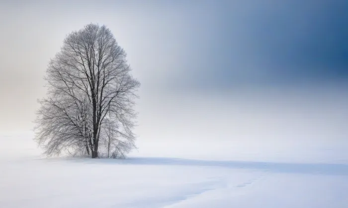 Bazilika Nanebevzetí Panny Marie na Strahově – winter