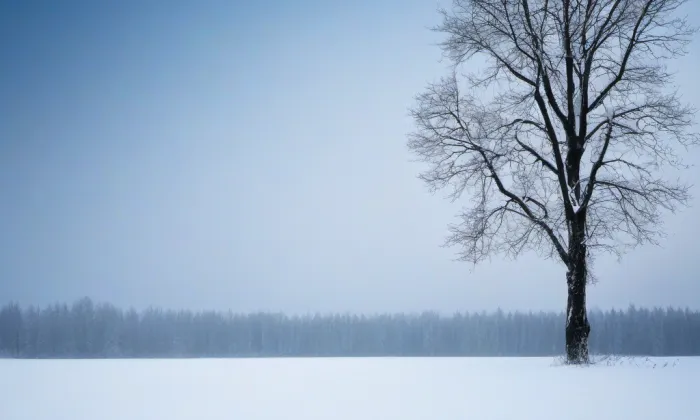 Bazilika svatých Petra a Pavla na Vyšehradě – winter