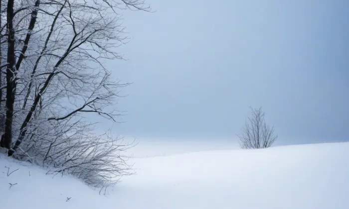 Bazilika svatého Prokopa – winter