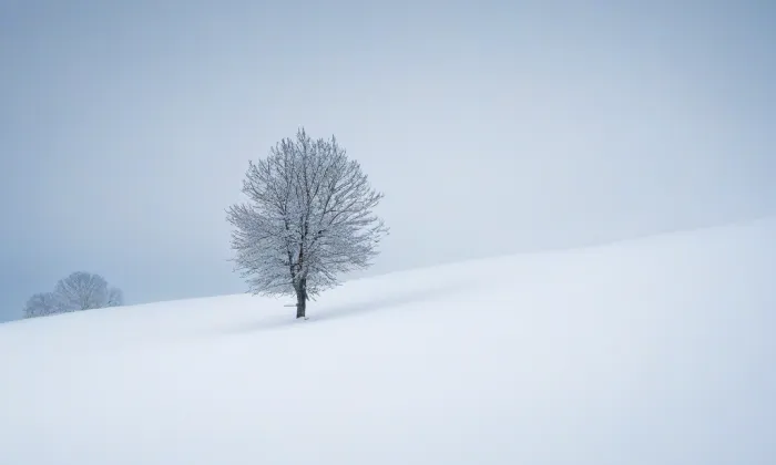 Bečov nad Teplou – winter