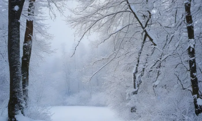 Bečvářův dvůr – winter
