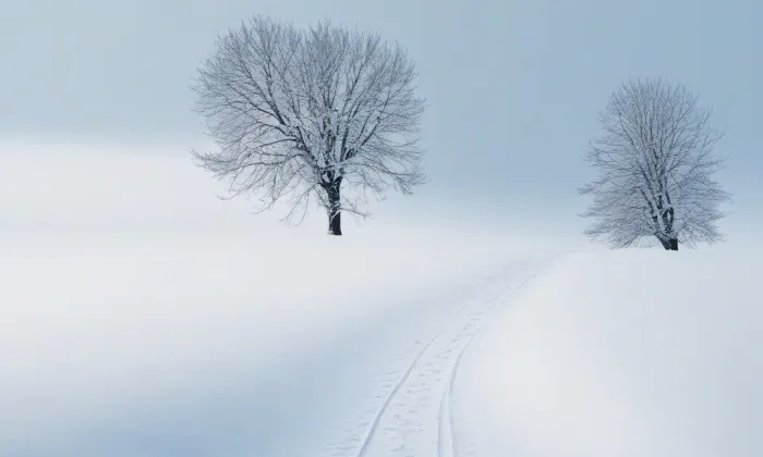 Bedřicha Smetany 4 – winter