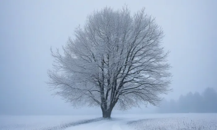Belver – winter