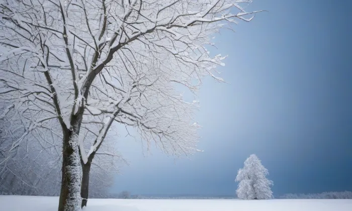 Benešov nad Ploučnicí – winter