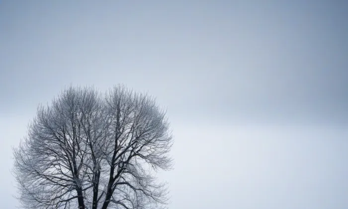 Benešov u Prahy – winter