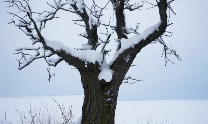 Bernartice – winter