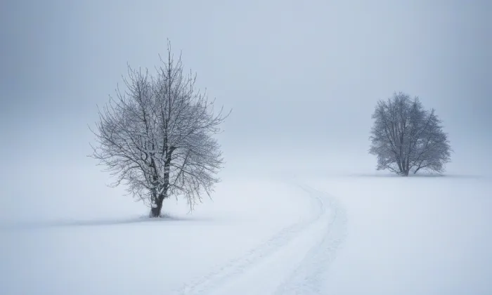 Beseda v Táboře – winter