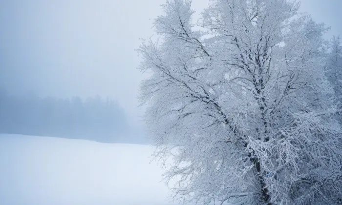 Biřkov – winter
