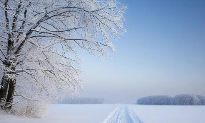 Bible boskovická – winter