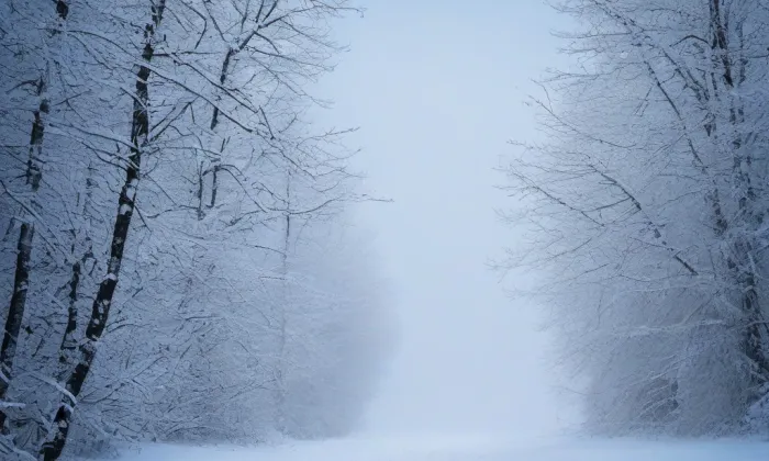Biskupský dvůr – winter