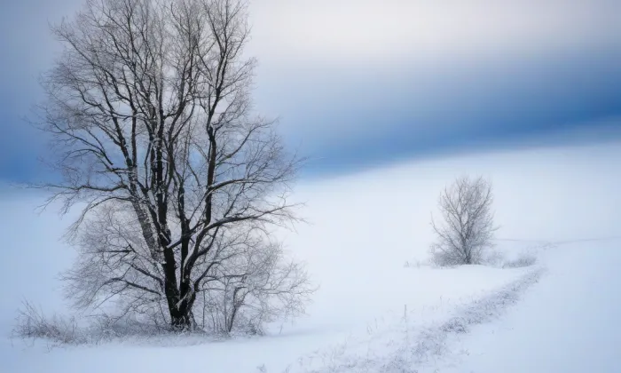 Biskupská rezidence v Litoměřicích – winter