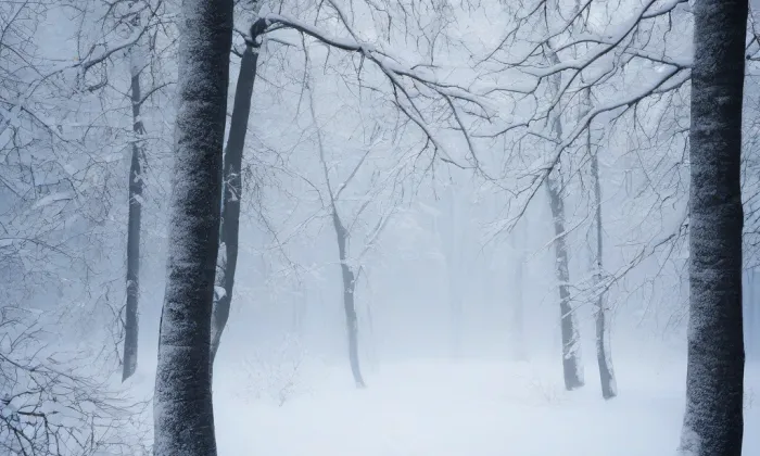 Biskupská rezidence v Plzni – winter