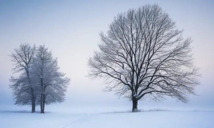 Bitozeves – winter