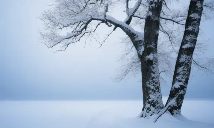 Bludovský hrad – winter