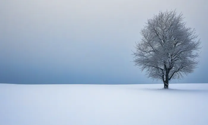 Boží muka se sousoším Piety – winter