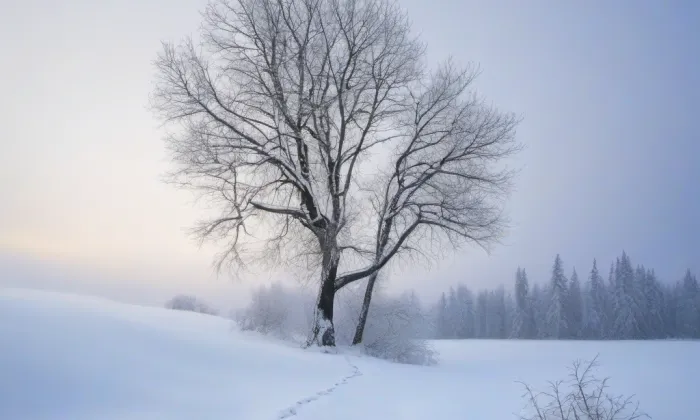 Boží muka svatého Vendelína – winter