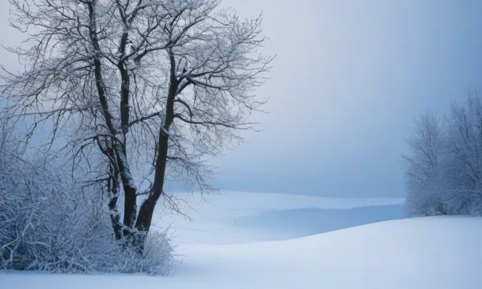 Bon Repos – winter