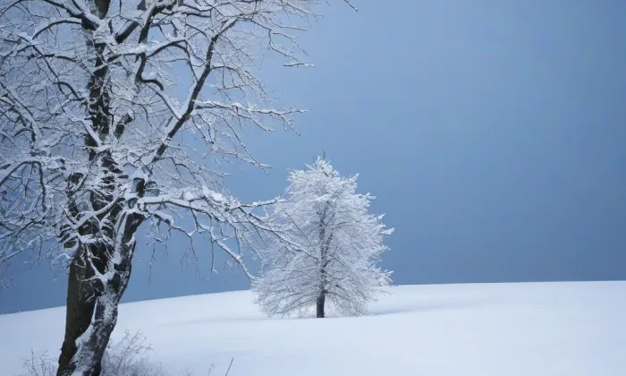 Boršegrýn – winter