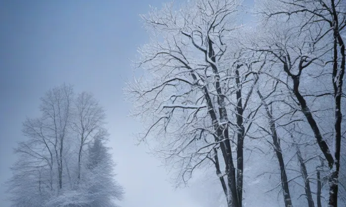 Boršov – winter