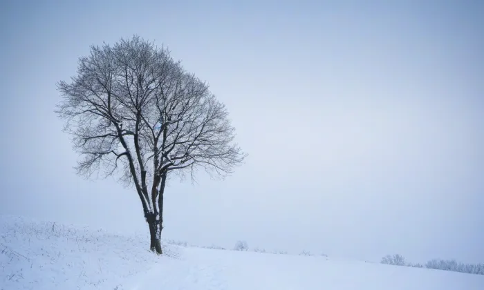 Borotín – winter