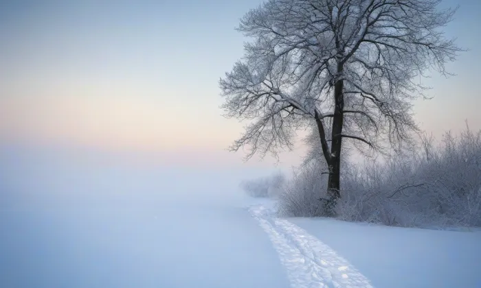 Boskovštejn – winter